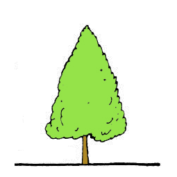 LtStromTvarKuzelovita